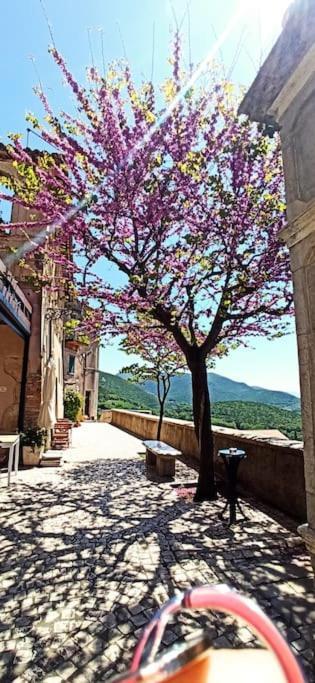 Relax Nell' Antico Borgo Villa Casperia Buitenkant foto